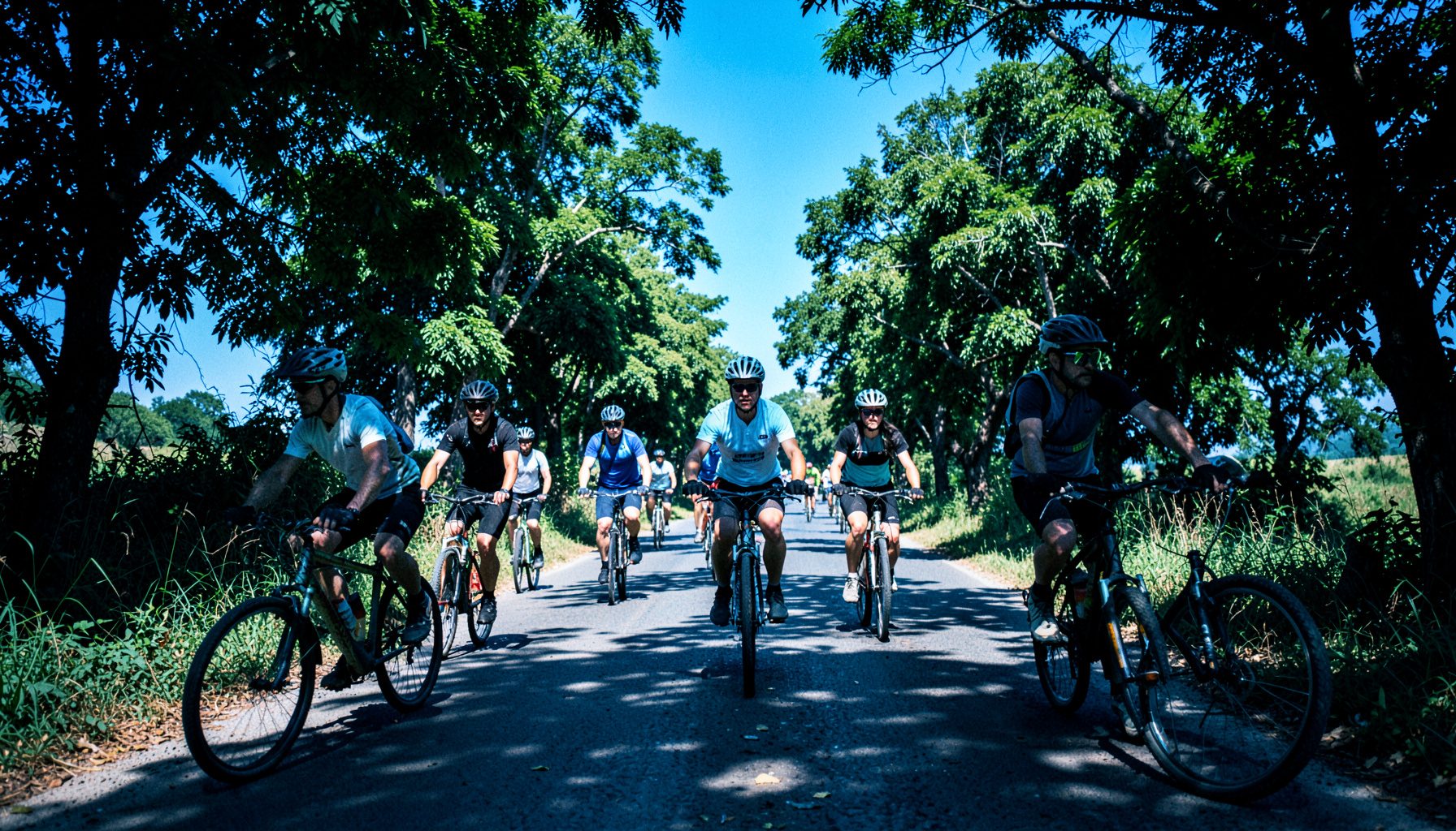 Sekelompok pesepeda menikmati perjalanan santai di jalan pedesaan yang teduh dengan pepohonan hijau, langit cerah kebiruan, suasana pagi yang segar.